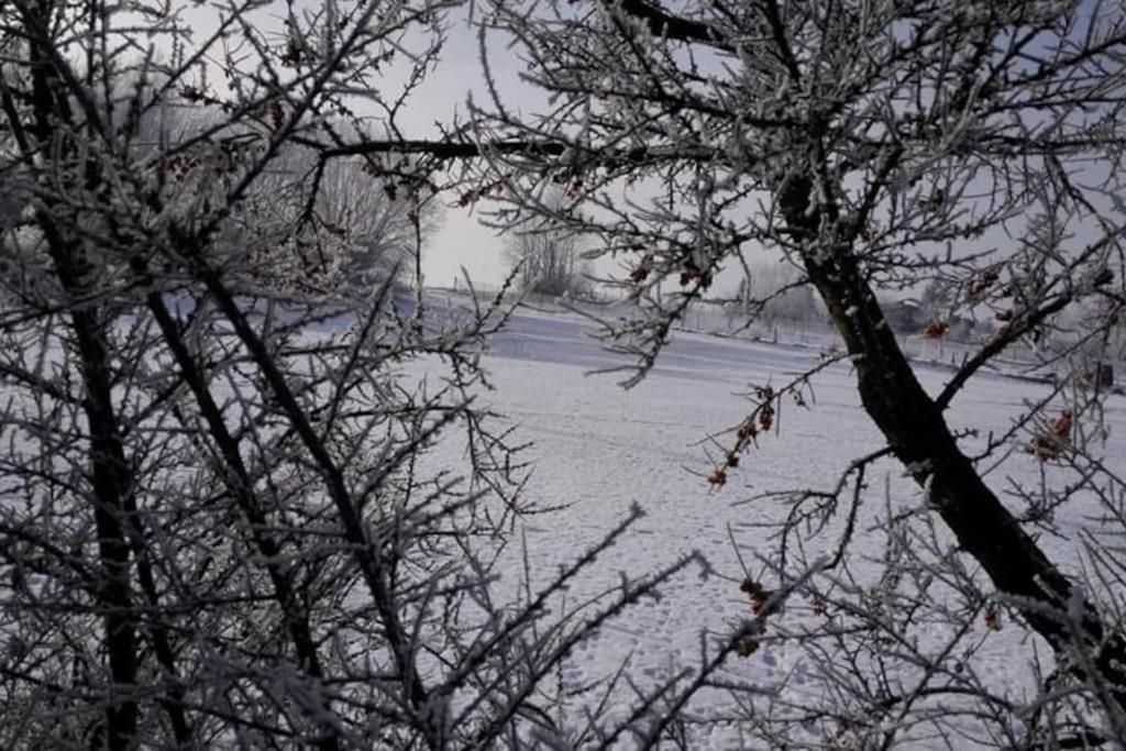 Chata Adam je pre rodiny s deťmi terasa, detské ihrisko Liptovský Mikuláš Exteriör bild